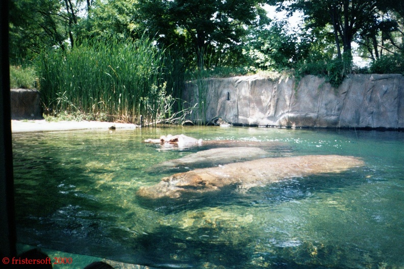 006_3A.jpg