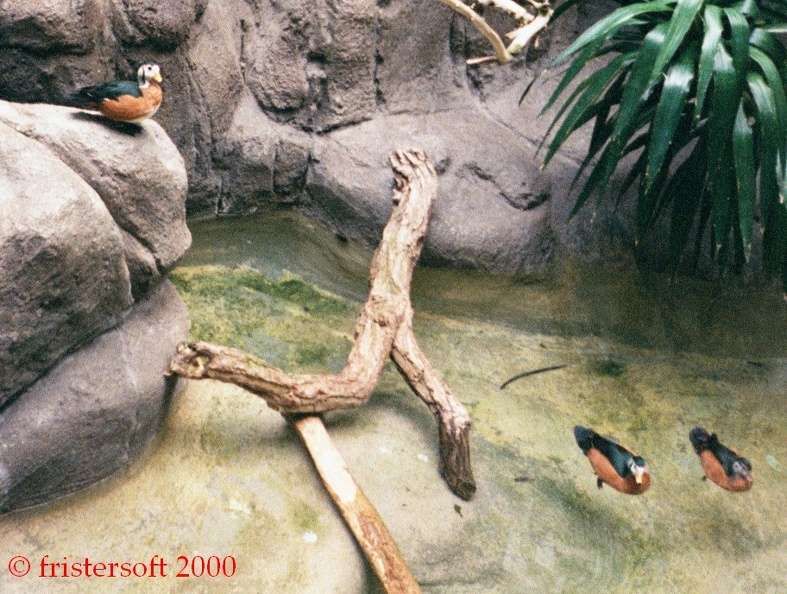 010_7A.jpg
