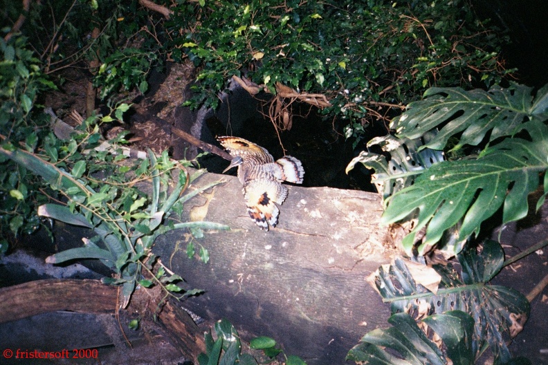 012_9A.jpg