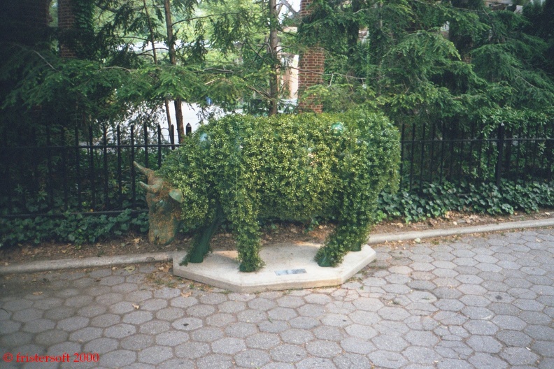 004_1A.jpg
