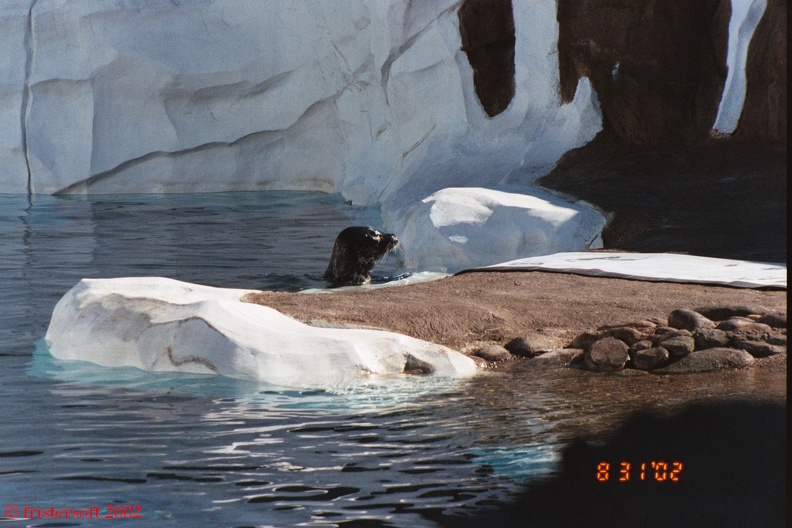 038_35A.jpg