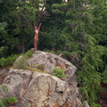 IMG018