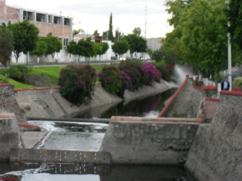 SDC10111.jpg
