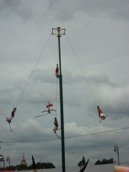 SDC10178.jpg
