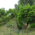 SDC10207