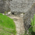 SDC10228