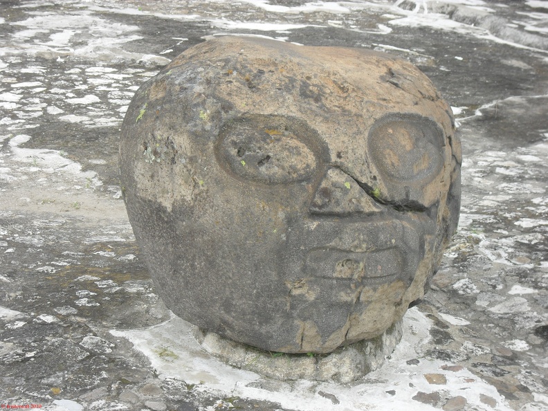 SDC10232.jpg