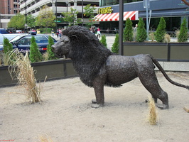 SDC10390