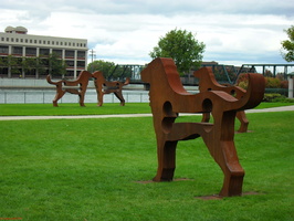 SDC10439