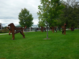 SDC10441