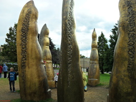 SDC10452