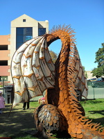 SDC10462