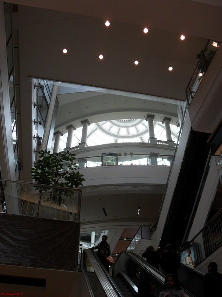 SDC10562.jpg