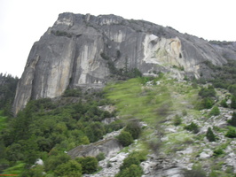 SDC10978