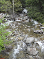 SDC10981