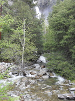 SDC10982