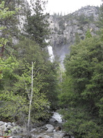 SDC10983