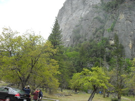 SDC10999