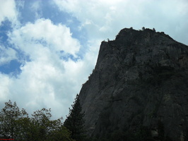 SDC11000