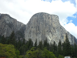 SDC11007