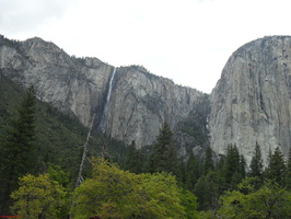 SDC11008