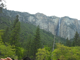 SDC11009