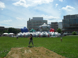 SDC11303