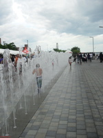 SDC11309