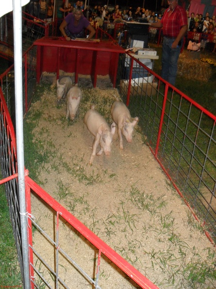 SDC11419.jpg