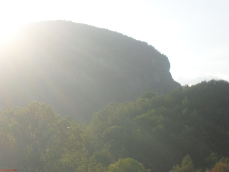 SDC11430.jpg