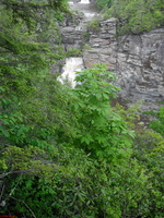 SDC11984