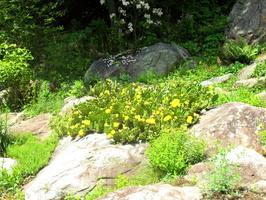 SDC11993
