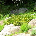 SDC11993