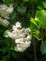 SDC11997