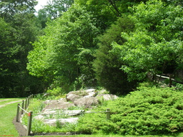 SDC11999