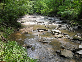 SDC12002