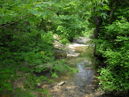 SDC12005