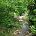 SDC12005
