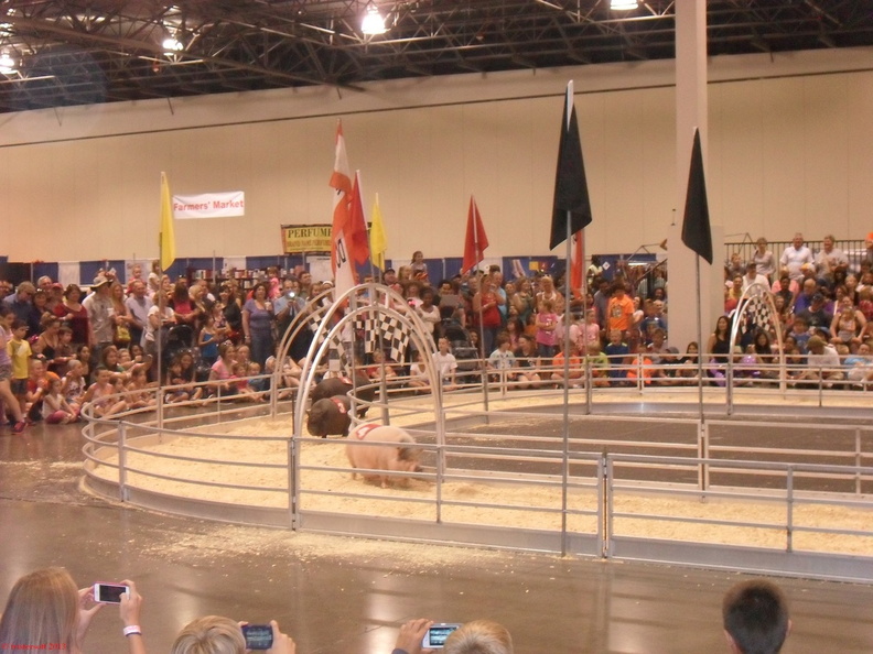 SDC12667.JPG