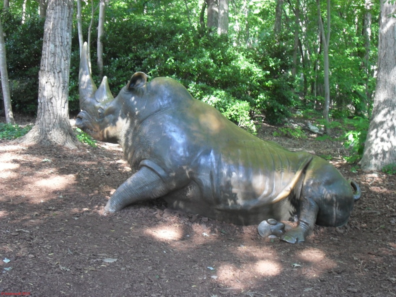 SDC12672.JPG