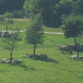 SDC12677 crop