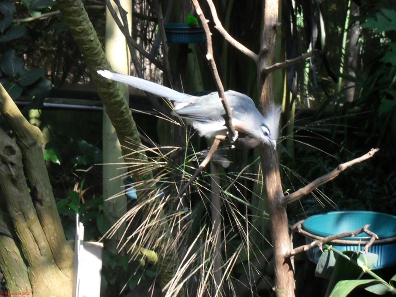 SDC12692.JPG