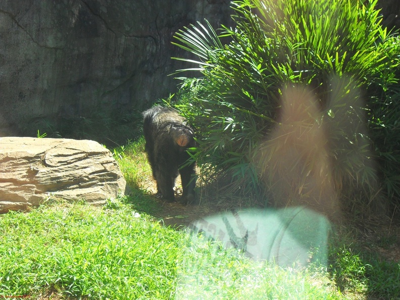 SDC12701.JPG