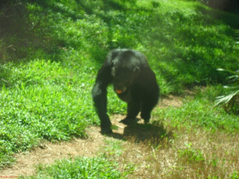 SDC12702.JPG