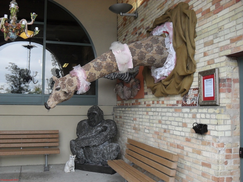 SDC13022.JPG
