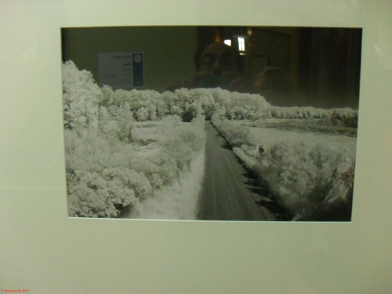 SDC13038.JPG