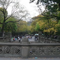 SDC13117
