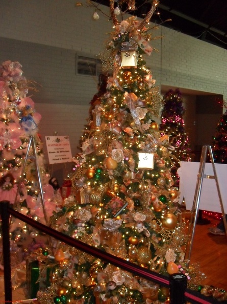 SDC13131.JPG