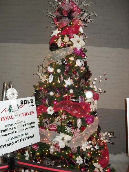 SDC13140.JPG