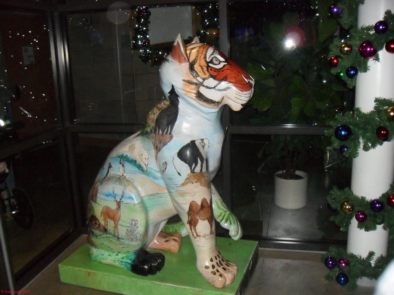 SDC13154.JPG